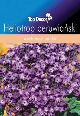 Heliotrop peruwiański TOP DECOR
