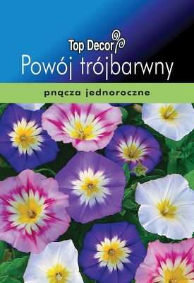 Powój trójbarwny TOP DECOR