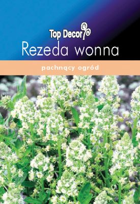 Rezeda wonna TOP DECOR