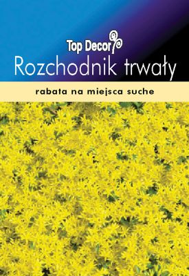 Rozchodnik trwały TOP DECOR