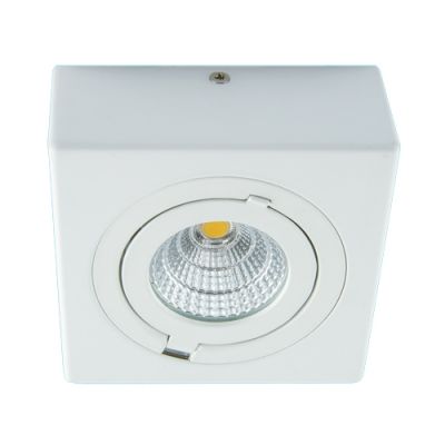 Oprawa sufitowa Cob LED Igor LED D 9 W biała 4000K STRUHM