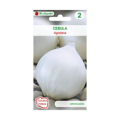 Cebula biała Agastona nasiona tradycyjne 1 g W. LEGUTKO