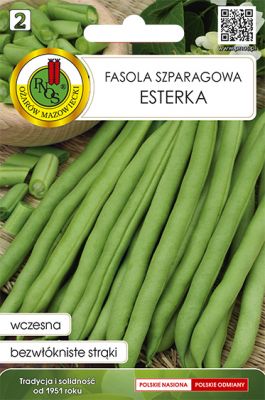 Fasola szparagowa zielona Karłowa Esterka 20 g PNOS