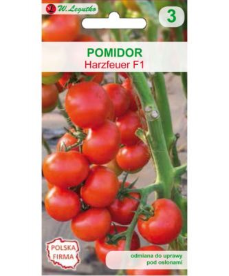 Pomidor Harzfeuer F1 W.LEGUTKO