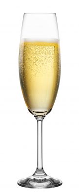 Komplet kieliszków do szampana 200 ml - 6 szt. KROSNO