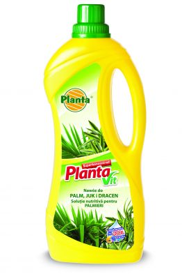 Nawóz do palm, juk i dracen Vit-6, 1 L PLANTA