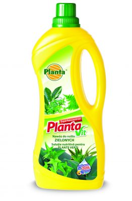 Nawóz do roślin zielonych Vit-2, 1 L PLANTA