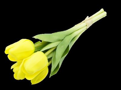Bukiet tulipanów 5 szt. guma CV17692-MIX TOP GIFTS