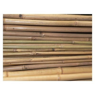 Bambus 105 cm fi 8-10 mm