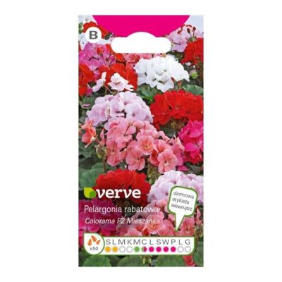 Nasiona pelargonia Colorama F2 Verve