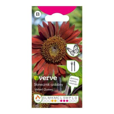 Nasiona słonecznik Velvet Queen Verve