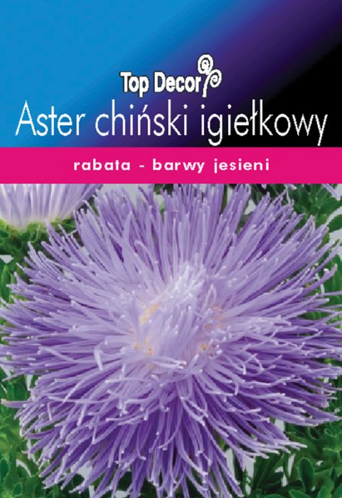 Aster chiński igiełkowy TOP DECOR