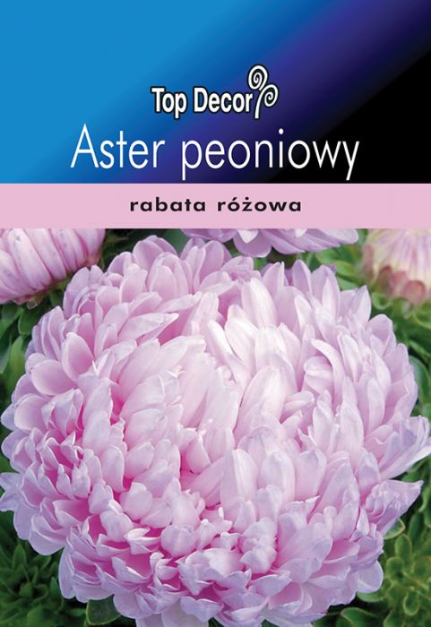 Aster peoniowy TOP DECOR