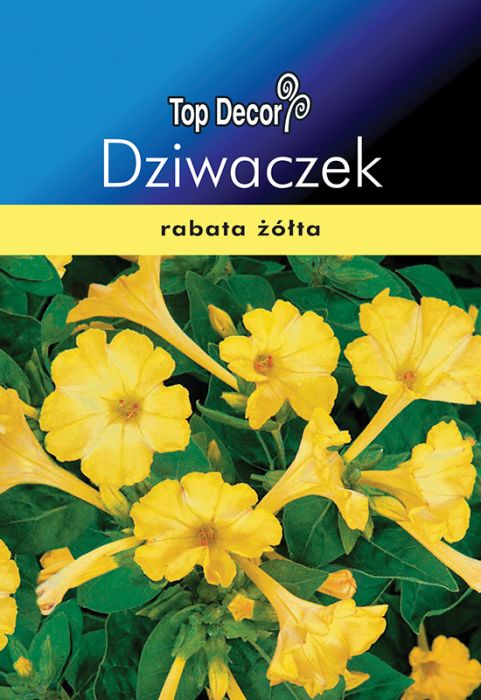 Dziwaczek TOP DECOR