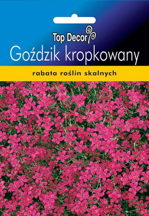 Goździk kropkowany TOP DECOR