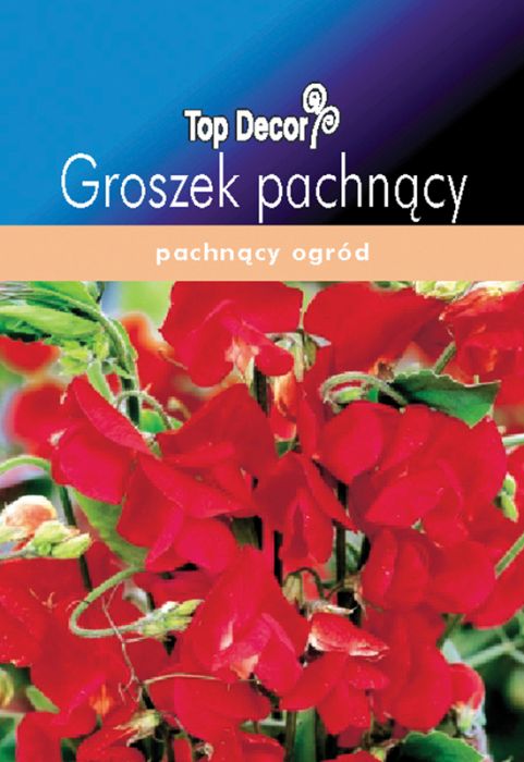 Groszek pachnący TOP DECOR