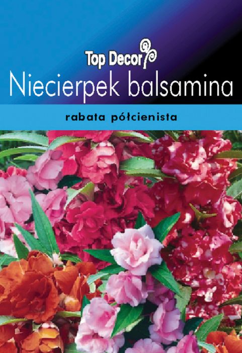 Niecierpek balsamina TOP DECOR