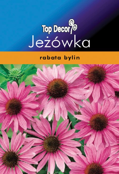 Rudbekia Jeżówka TOP DECOR