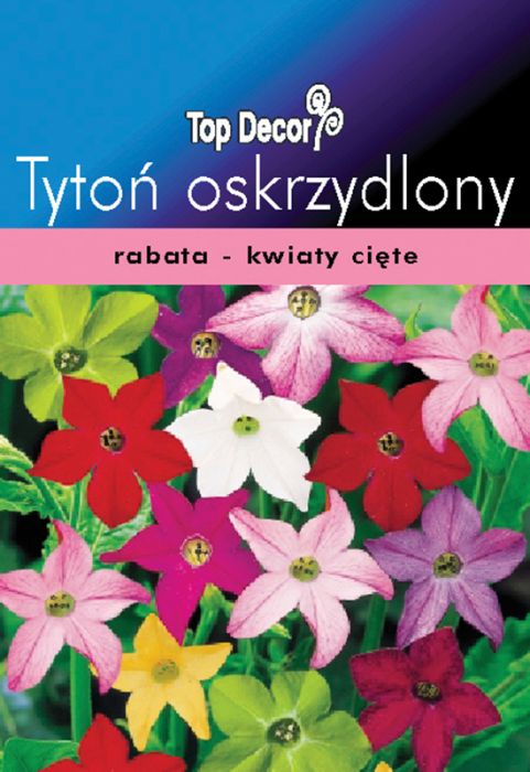 Tytoń oskrzydlony TOP DECOR