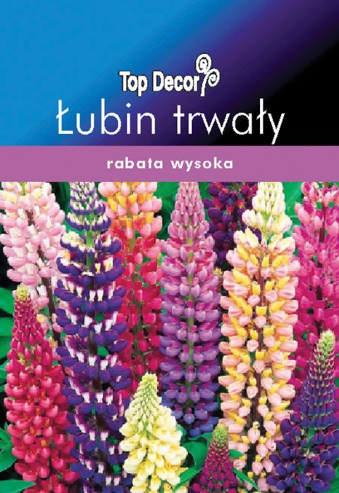 Łubin trwały TOP DECOR