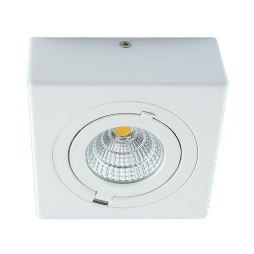 Oprawa sufitowa Cob LED Igor LED D 9 W biała 4000K STRUHM