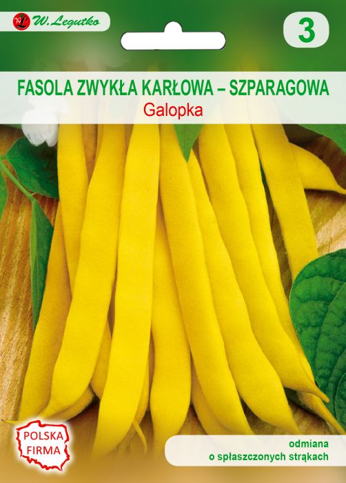 Fasola zwykła karłowa galopka nasiona tradycyjne 35 g W. LEGUTKO