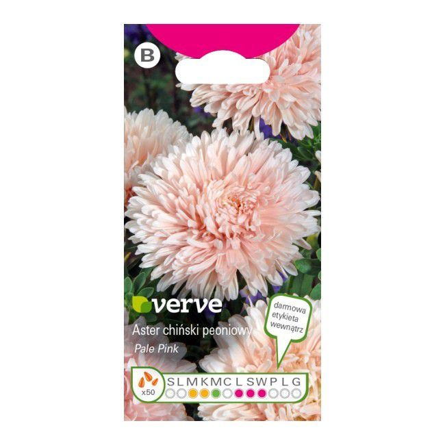 Nasiona aster Pale Pink  Verve